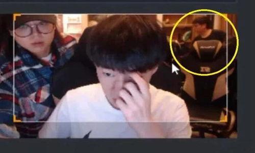 呆呆奇哥互相爆料视频,揭秘娱乐圈背后的秘密与笑料