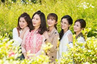 台剧一家人在线观看,温情脉脉的家庭故事